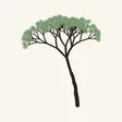 Bonsai Snip app icon